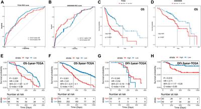 Construction of a combined hypoxia and EMT index for head and neck squamous cell carcinoma